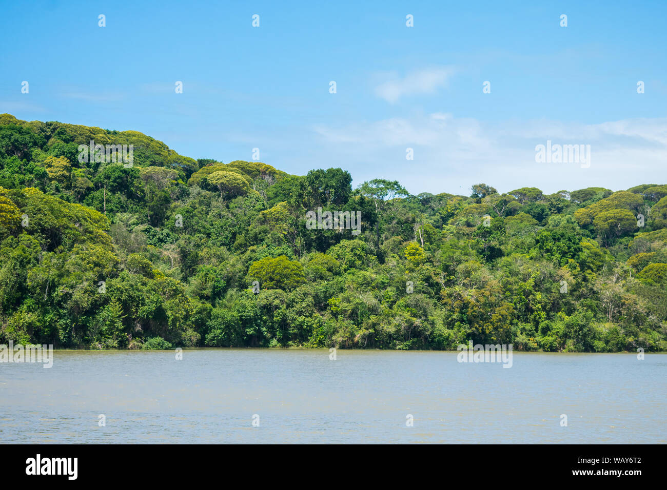 Lagoa da Mata, bellissima laguna circondata dalla foresta atlantica preservata sull isola di Itamaraca, Brasile Foto Stock