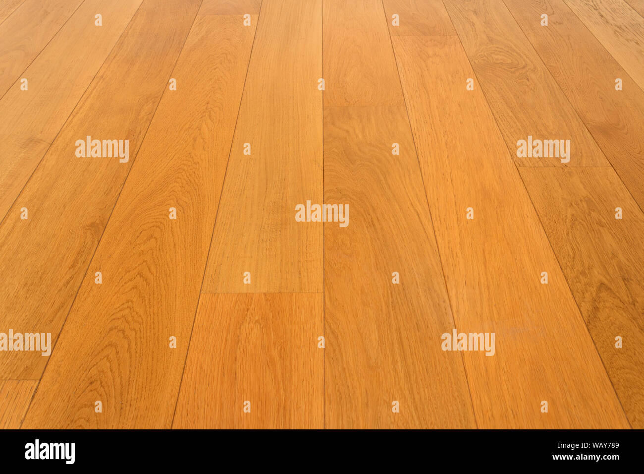 Pavimento in legno, rovere Parquet - pavimento in legno, Foto Stock