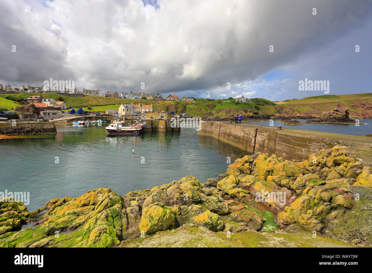 St Abbs Harbour, St Abbs, Berwickshire, Scottish Borders, Scotland, Regno Unito. Foto Stock