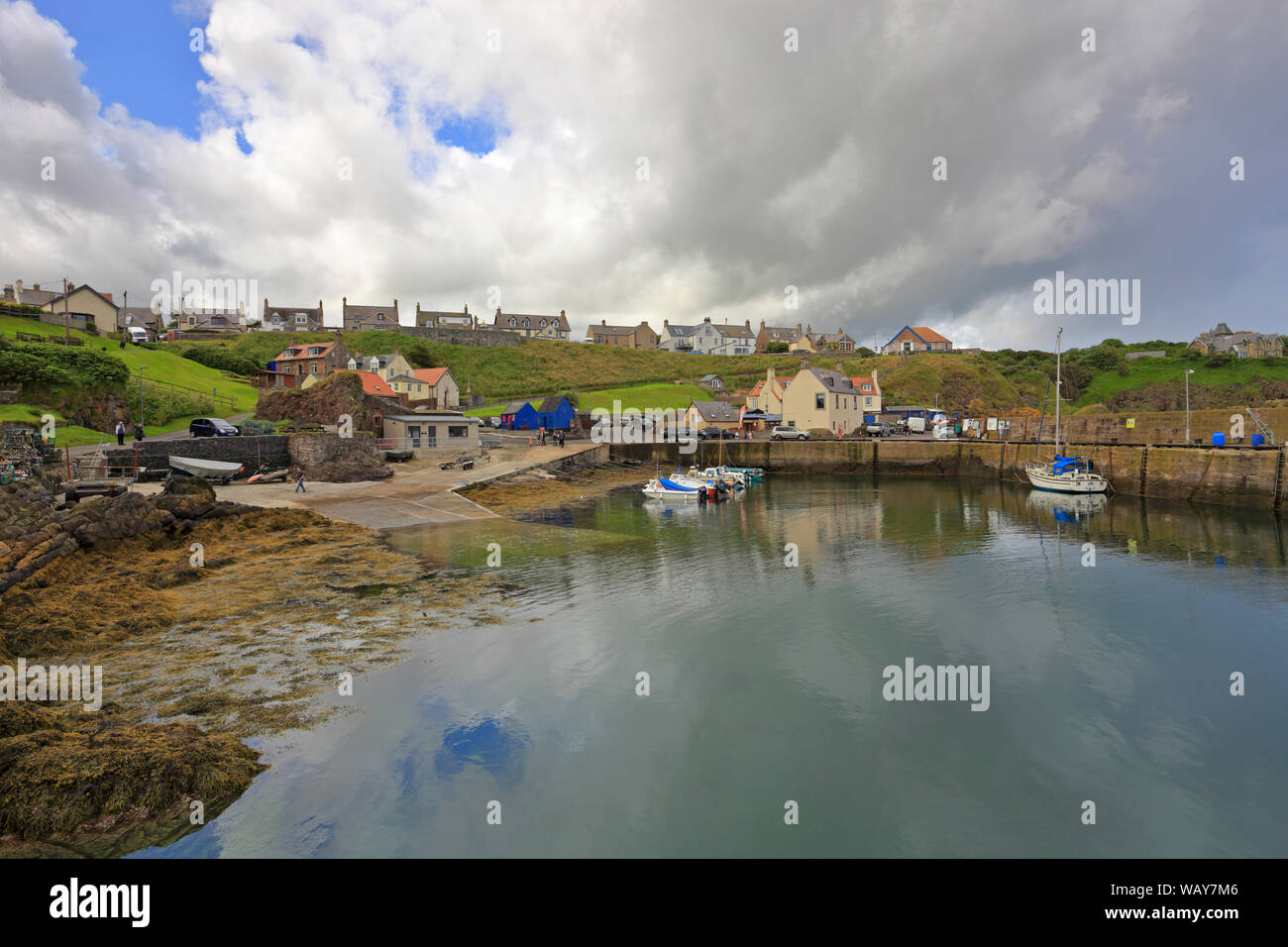 St Abbs Harbour, St Abbs, Berwickshire, Scottish Borders, Scotland, Regno Unito. Foto Stock