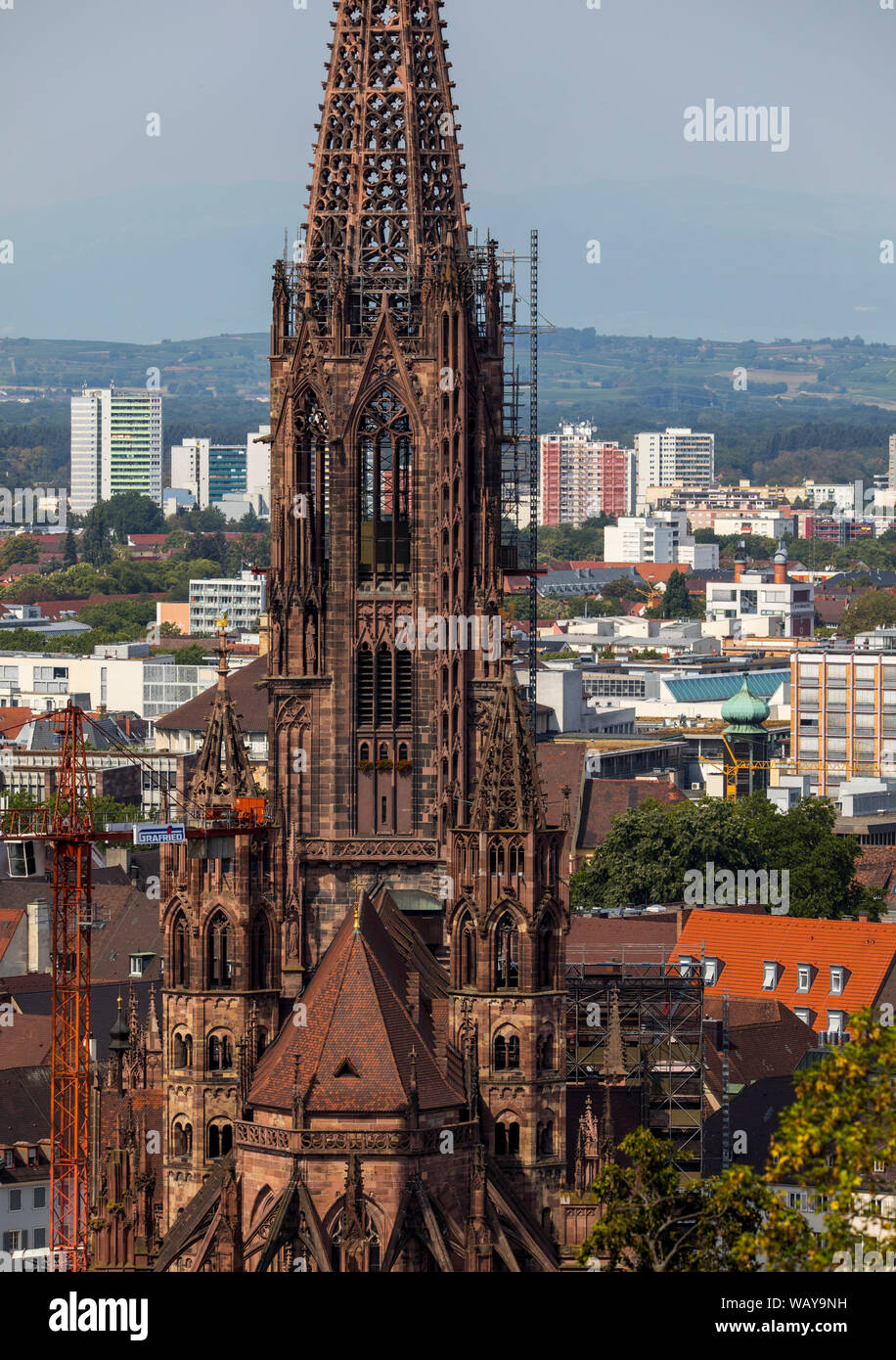 Freiburg im Breisgau, la città vecchia, la Chiesa torre della cattedrale di Friburgo, Foto Stock