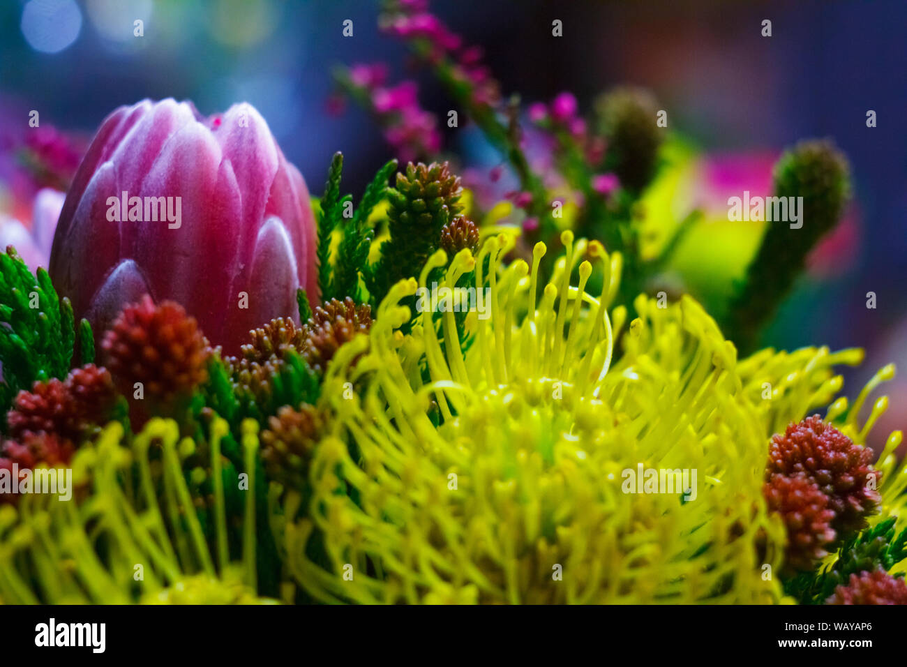 Bouquet di fiori in giallo, bianco, sfumature di verde. Ingredienti: rose, dalia, bacche, eucalipto, fiore di cotone, crisantemo, fresia, Willow, tul Foto Stock