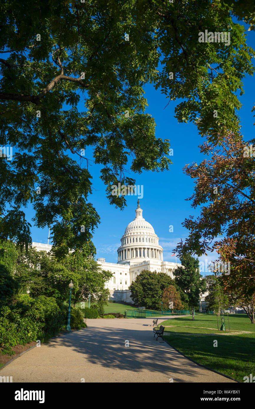 Scenic blue sky vista della cupola della US Capitol Building incorniciato da estate verde nel luminoso sole di mezzogiorno a Washington DC, Stati Uniti d'America Foto Stock