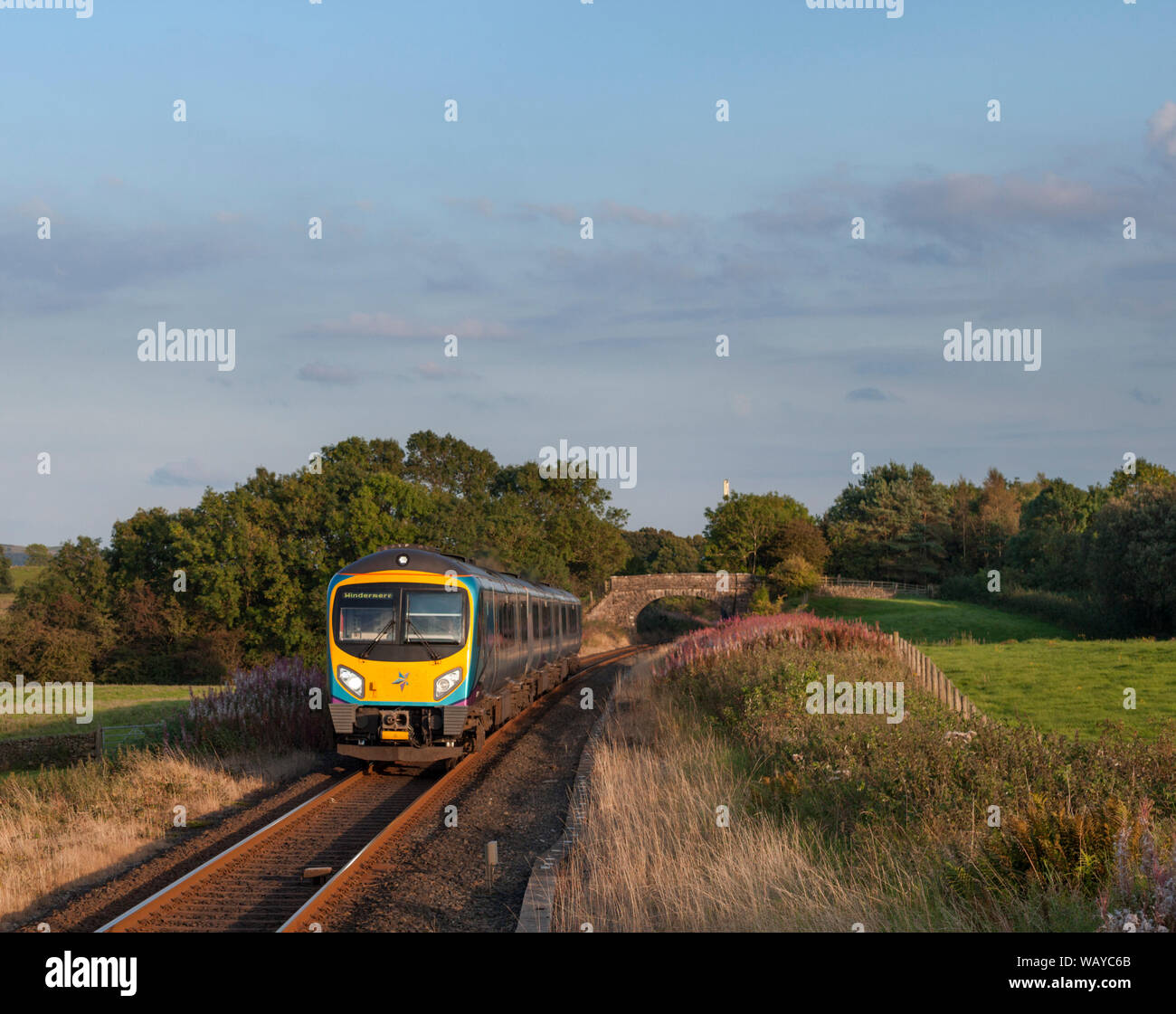 Primo Transpennine Express classe 185 treno (a noleggio a nord della rampa) passando Staverley sulla linea di Windermere Foto Stock