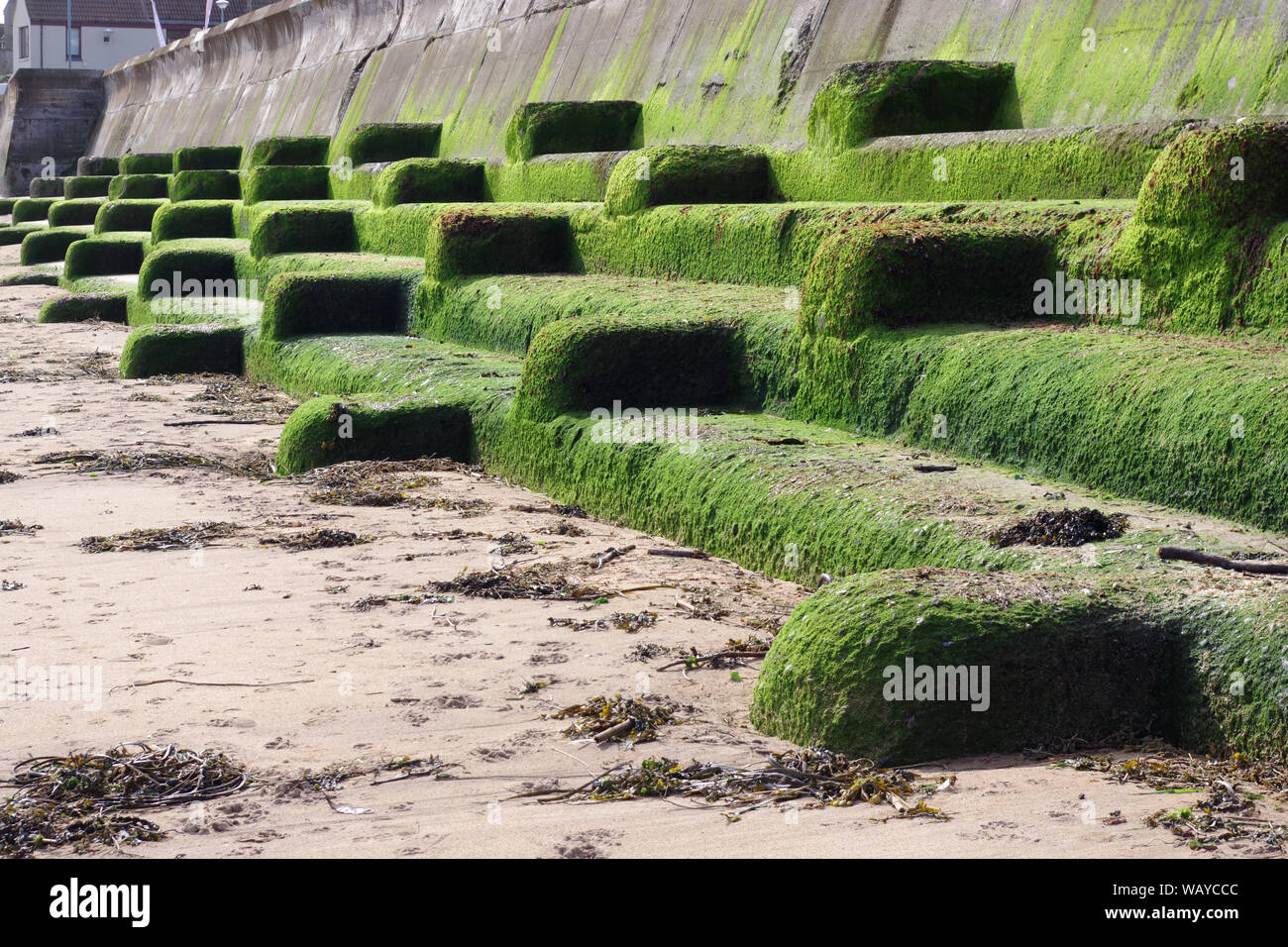 Mare muro di difesa sulla spiaggia a Eyemouth, una piccola città e parrocchia civile in Berwickshire, Scozia Foto Stock Mare muro di difesa sulla spiaggia a Eyemouth, una piccola città e parrocchia civile in Berwickshire, Scozia Foto Stock