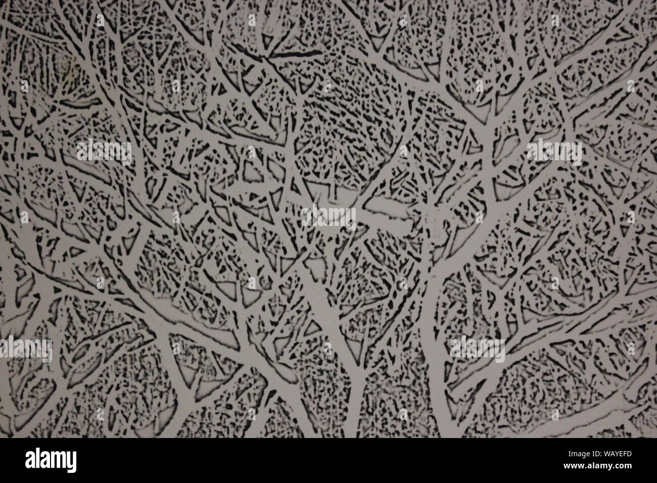 Bene in bianco e nero fotografia d'arte dagli anni settanta, settanta, di un concetto astratto di un albero che vivono nella foresta. Foto Stock