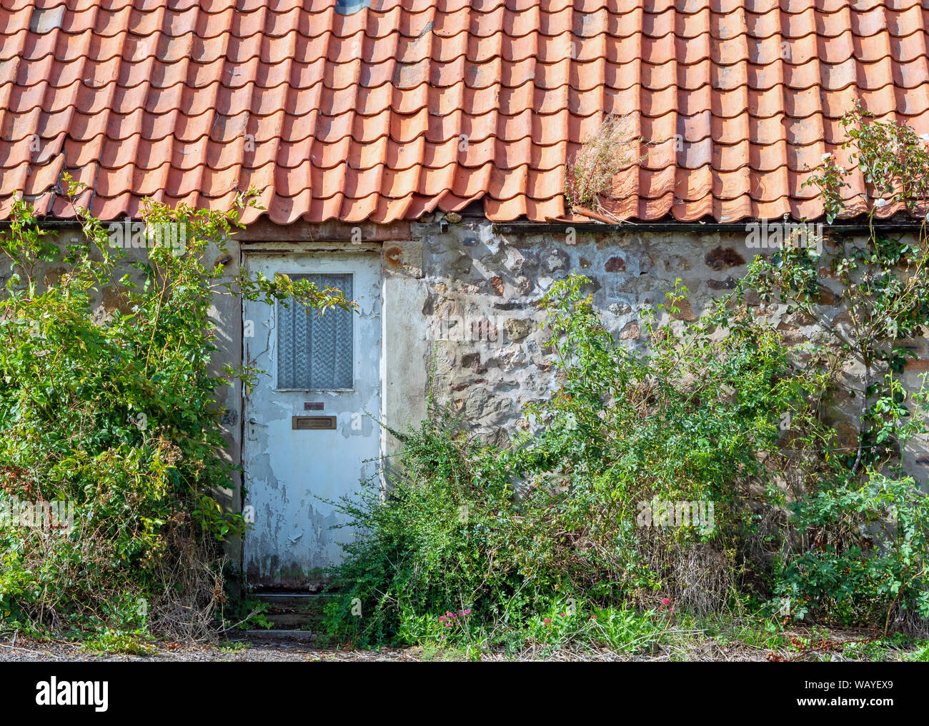 Un vecchio casolare in Athelstaneford, East Lothian, Scozia, Regno Unito. Foto Stock
