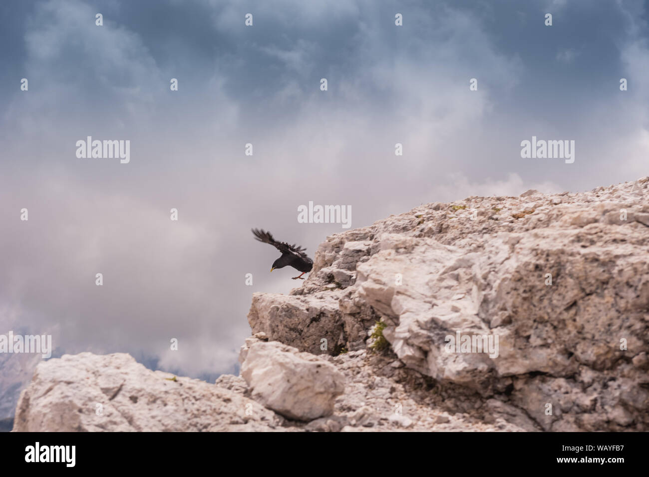 Il Sass Pordoi in Alto Adige, Italia Foto Stock