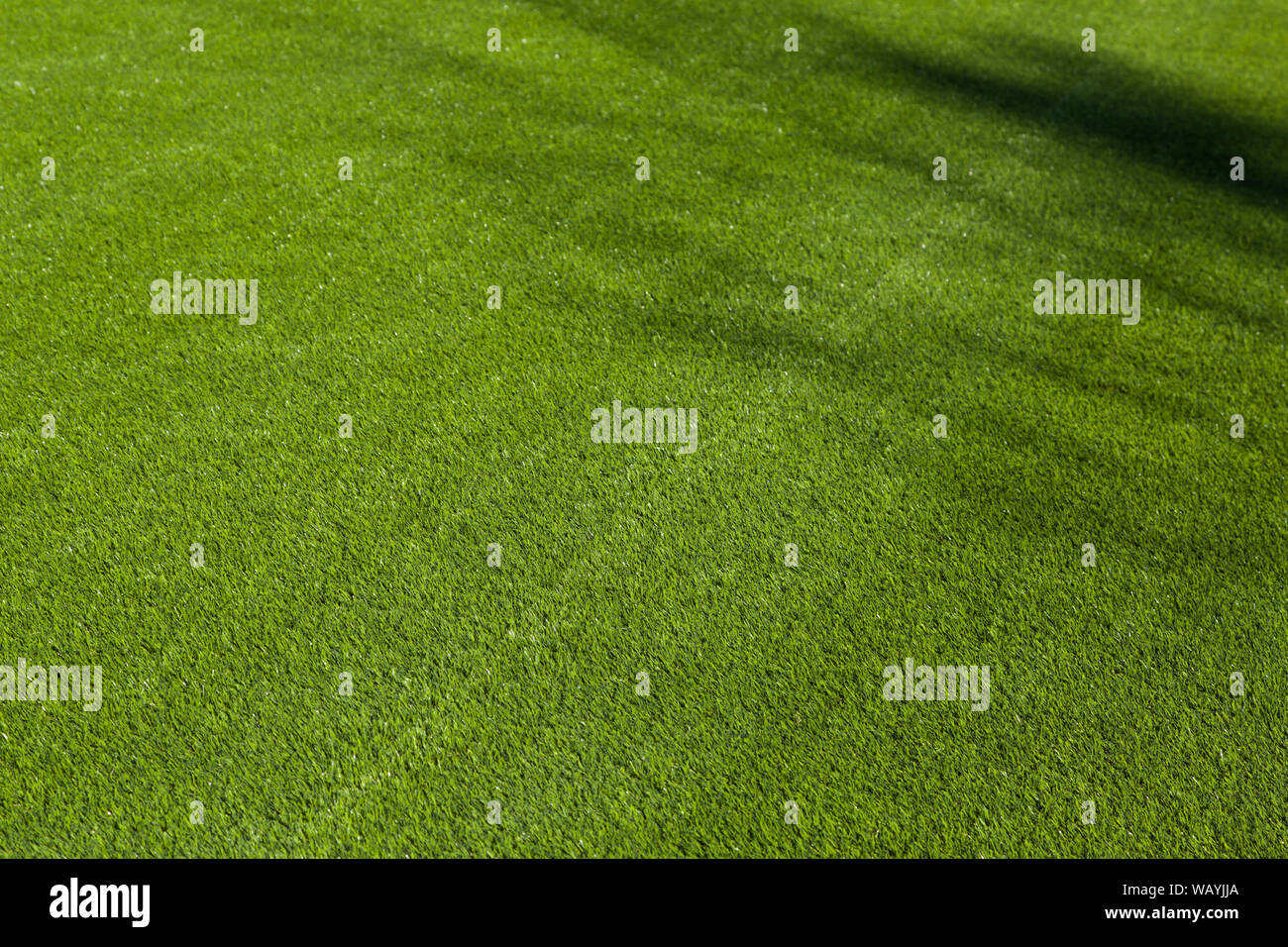 Appena installato in erba artificiale. Foto Stock