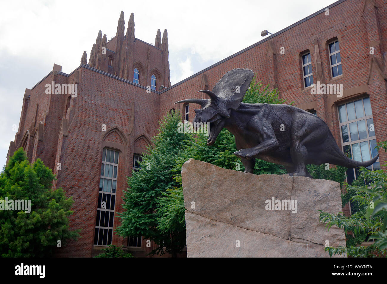La Yale Peabody del Museo di Storia Naturale, 170 Whitney Avenue, New Haven, CT Foto Stock