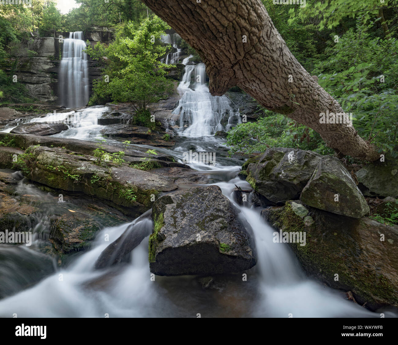 Twin Falls / Reedy Cove cade / Eastatoe cade. Scenic accesso del pubblico le cascate di Pickens County, Carolina del Sud. Una popolare destinazione per un breve n Foto Stock