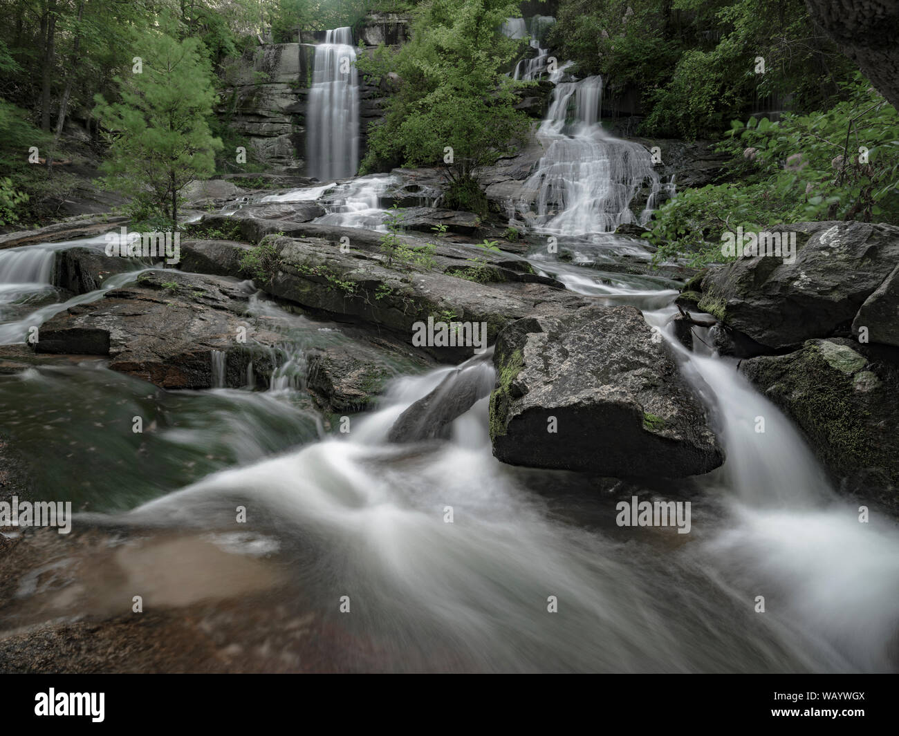 Twin Falls / Reedy Cove cade / Eastatoe cade. Scenic accesso del pubblico le cascate di Pickens County, Carolina del Sud. Una popolare destinazione per un breve n Foto Stock