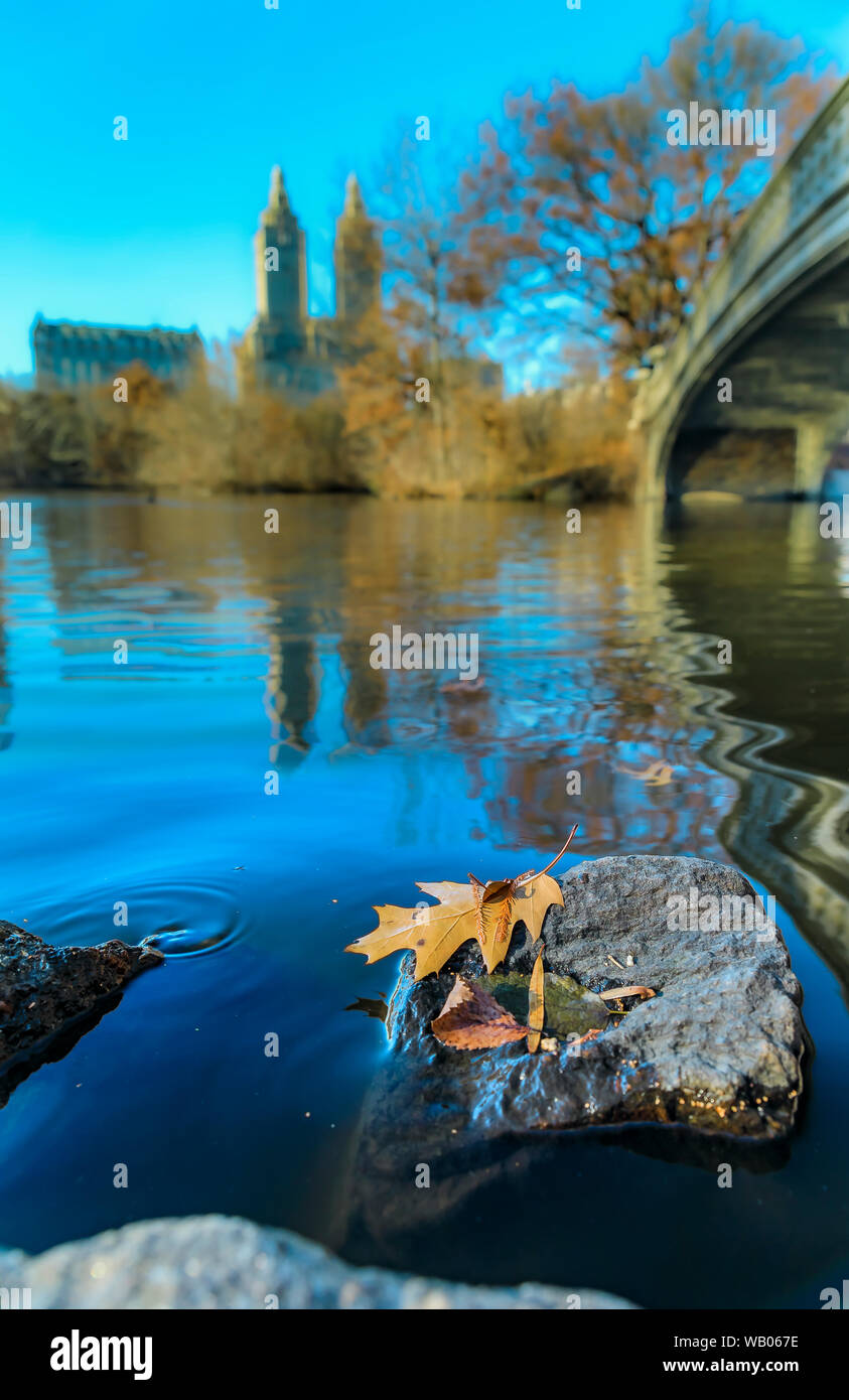 Archetto romantico Ponte sopra il lago di Central Park di New York in autunno con edifici di Manhattan in background e caduta foglie in primo piano Foto Stock