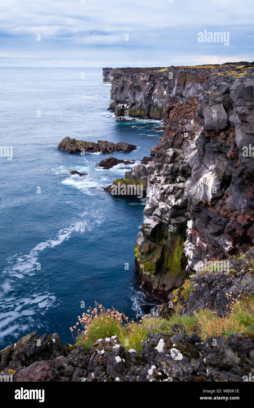 Vista drammatico di ripida costa rocciosa linea bluff a Snaefellsnes con erba e fiori in primo piano; Islanda Foto Stock
