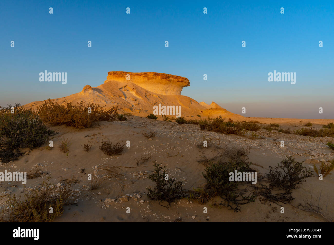 Roccia calcarea formazione nel deserto del Qatar al tramonto Foto Stock