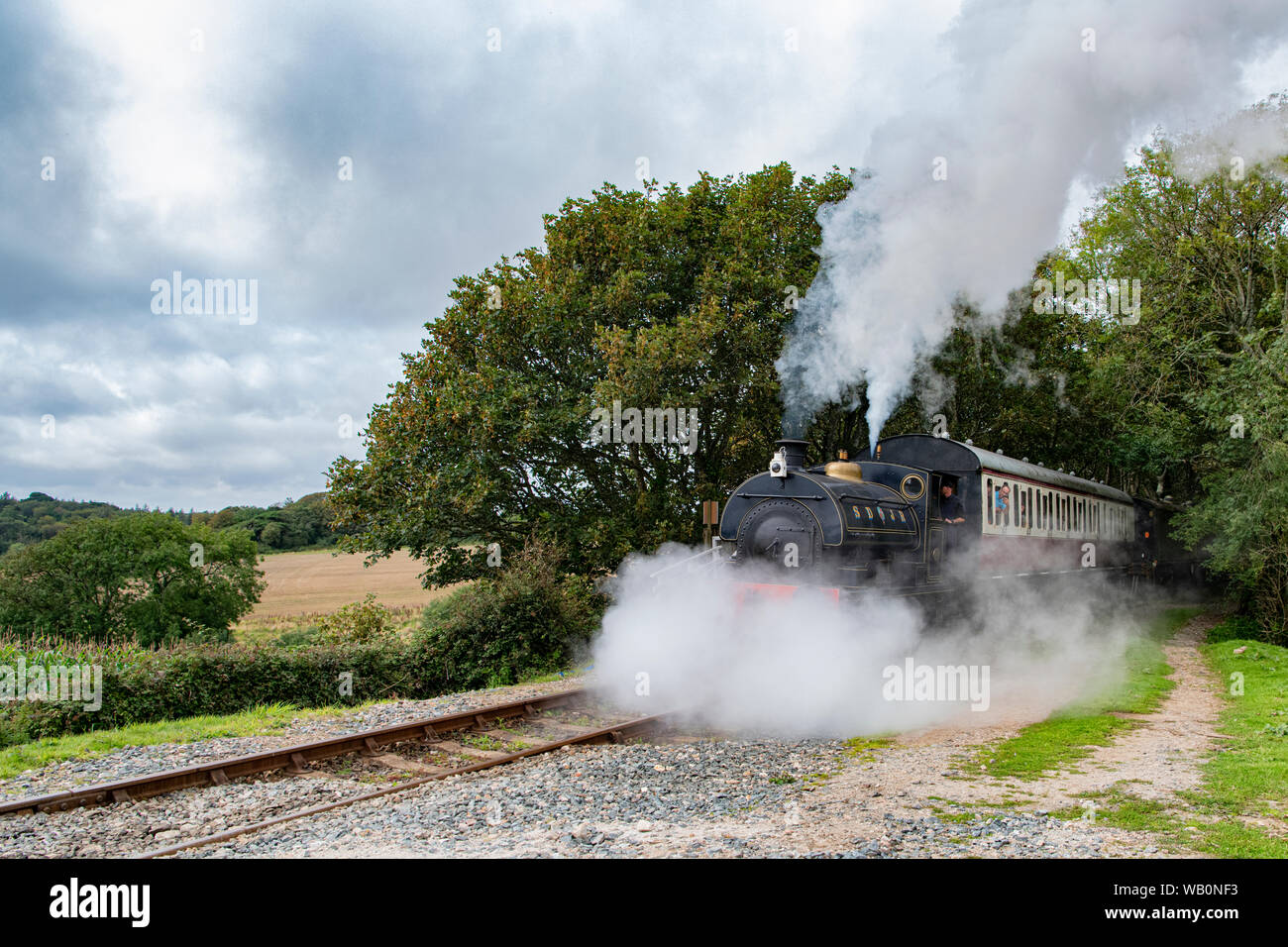 Helston ferroviarie, la Gran Bretagna è più a sud dalla ferrovia. Helston linea di diramazione, vista su tutta la campagna verso la lucertola e Costa Sud. National Rail Foto Stock