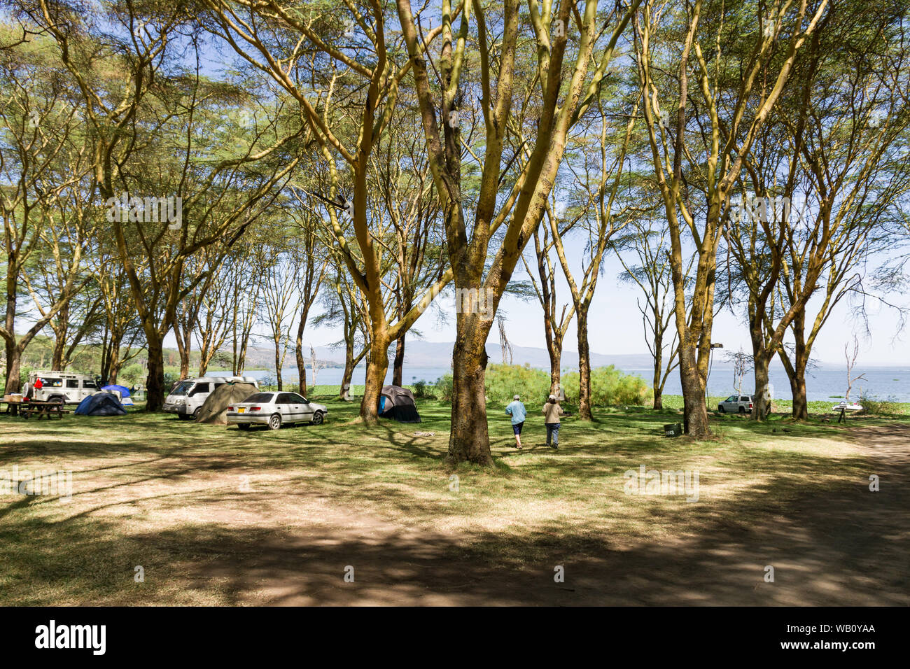Camp Carnelley's camp site sotto grandi alberi dal lago Naivasha con turisti e tende, Kenya Foto Stock
