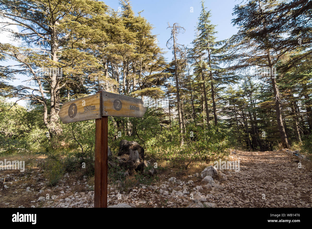 Sentieri escursionistici signpost Tannourine nella foresta di cedro Riserva Naturale, Libano Foto Stock