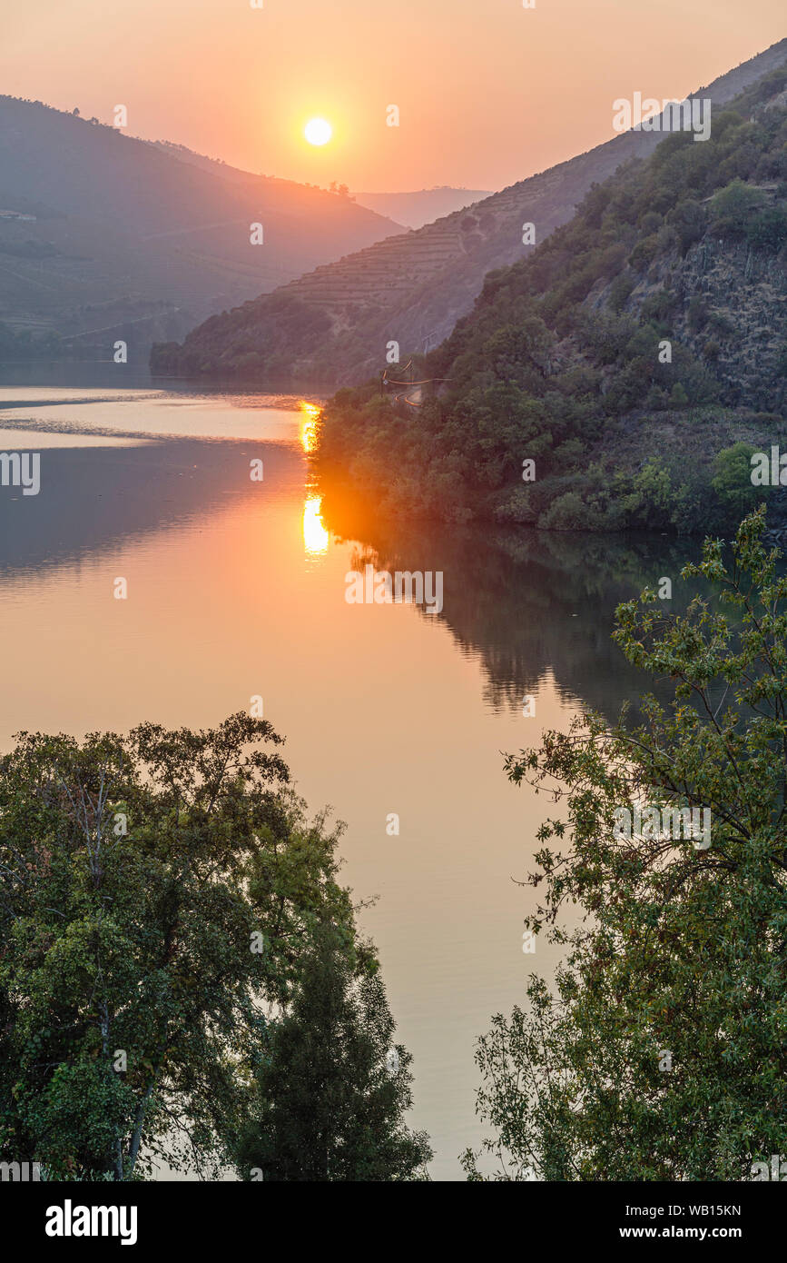 Il fiume Douro al tramonto tra Folgosa e Pinhao. Nella regione dei vini di Alto Douro Portogallo settentrionale Foto Stock