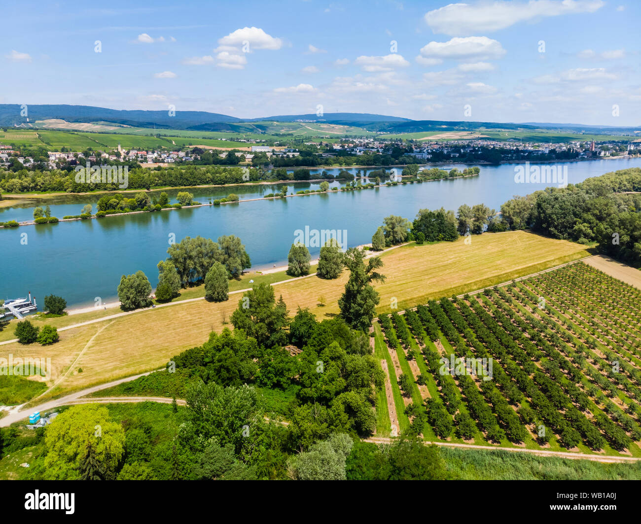 In Germania, in Renania Palatinato, vista aerea di Heidesheim am Rhein, il fiume Reno e Eltville Foto Stock