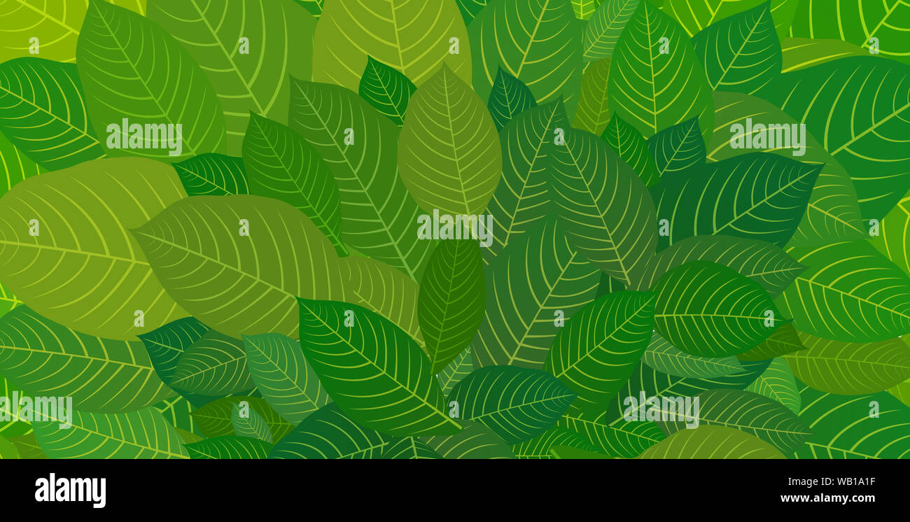 Foglie verdi. Sfondo per cartoline, poster, brochure Foto Stock