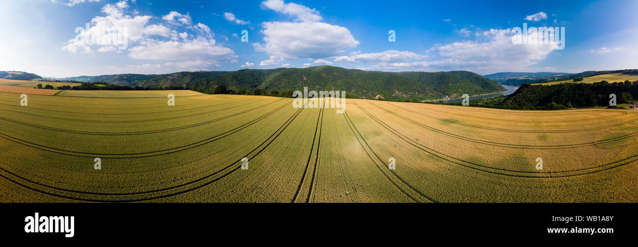 In Germania, in Renania Palatinato, Bingen regione, Henschhausen am Rhein, Vista panoramica dei campi di grano Foto Stock