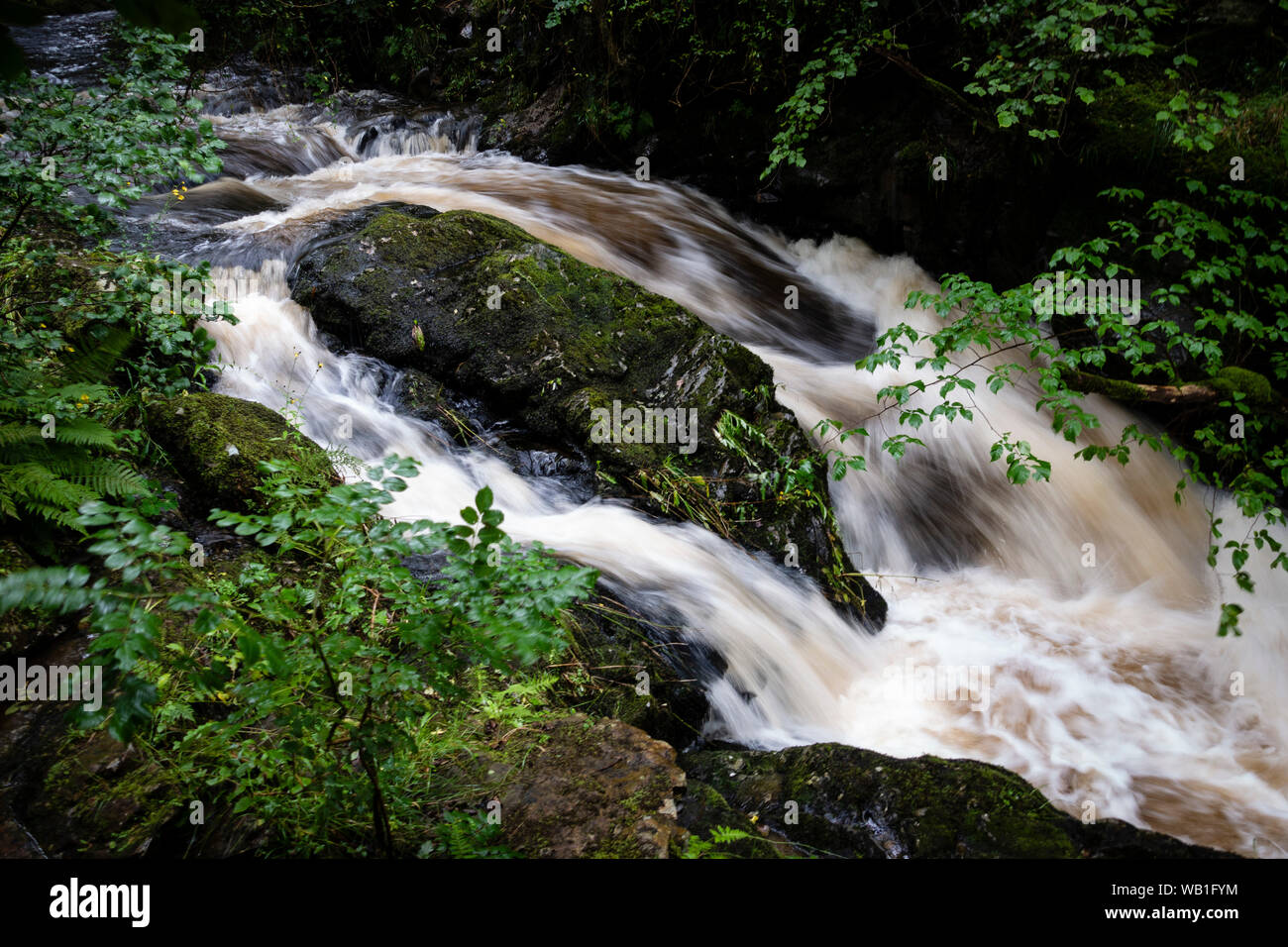 Aira Force cascata Foto Stock
