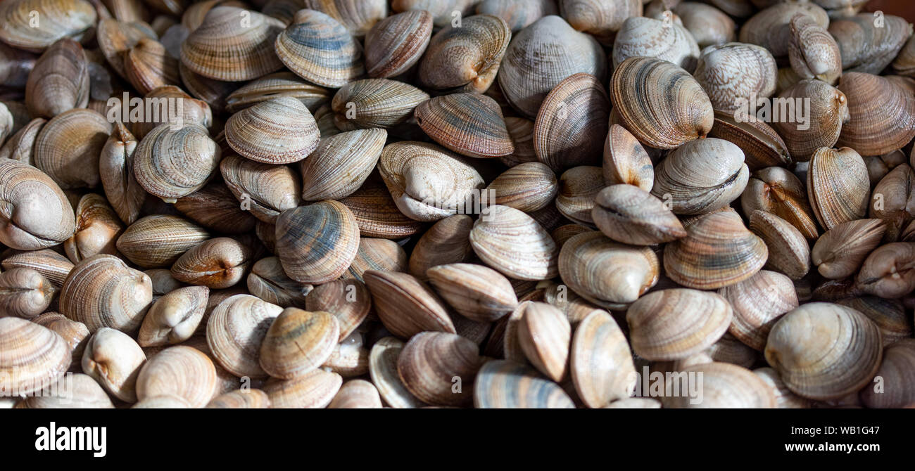 Sfondo con crudo fresco vognole vongole. Sfondo di cibo Foto Stock