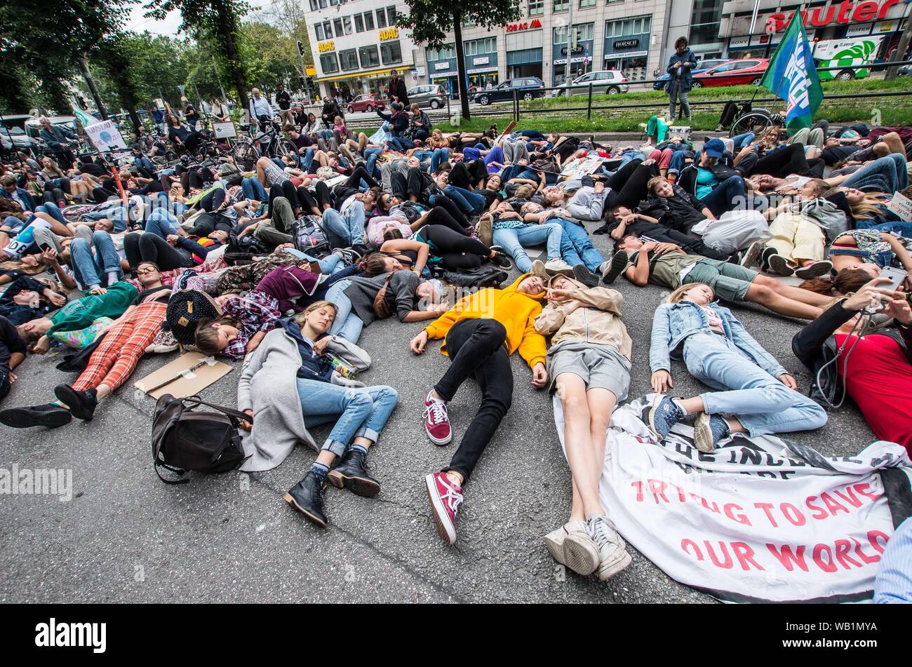 Monaco di Baviera, Germania. 23 Ago, 2019. Alcune delle centinaia di attivisti da venerdì per il futuro e la ribellione di estinzione in un die-in di fronte al Consolato Brasiliano a Monaco di Baviera, Germania. Rispondendo a rivendicazioni da parte di al Presidente del Brasile Bolsonaro che le ONG possono avere impostato gli incendi che attualmente infuria attraverso l'Amazzonia, attivisti dalla ribellione di estinzione e quindi il venerdì per il futuro si sono riuniti di fronte all'ambasciata brasiliana a Monaco di Baviera, Germania utilizzando una filiera in centinaia di grandi per portare attenzione alla distruzione della più grande del mondo di anidride carbonica repository attualmente in corso. (Credito Im Foto Stock