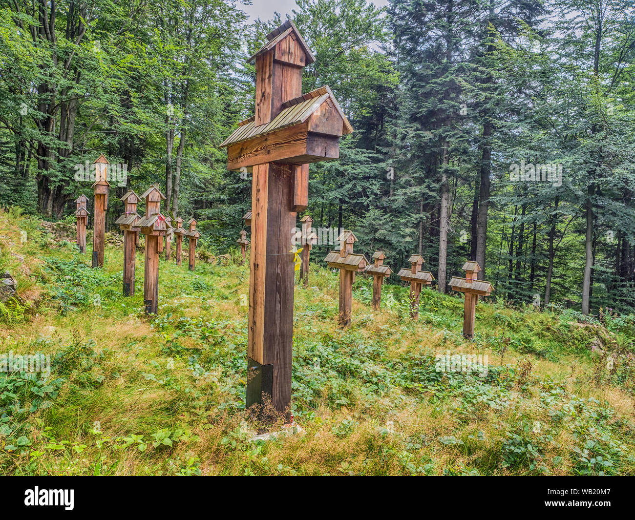 Magura Malastowska, Polonia - Agosto 21, 2018: luogo di sepoltura di 60 soldati dell'esercito austro-ungarico e 20 eserciti russi che morì nel 1915. Ho Giornate mondiali Foto Stock