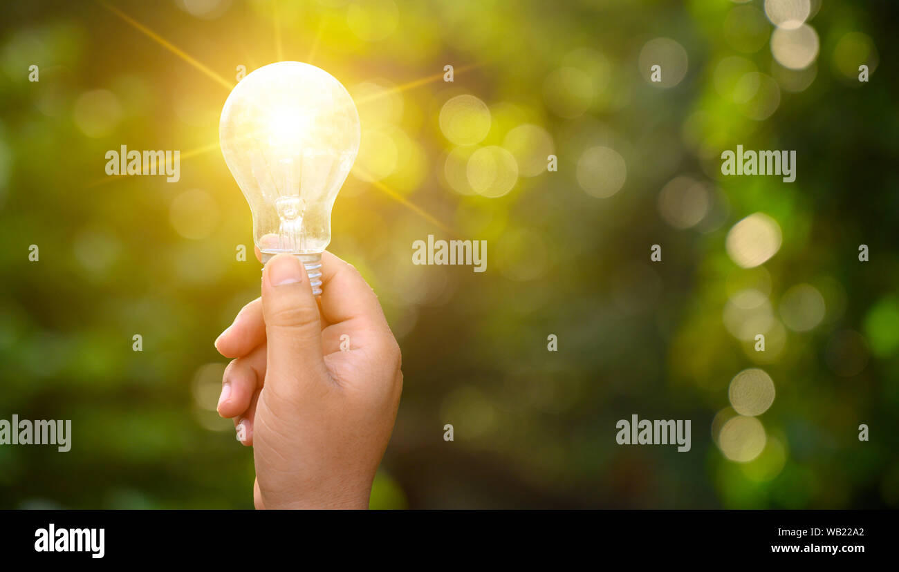 Lampadine della luce che brilla sulla verde erba, le energie rinnovabili e la conservazione della natura dei concetti Foto Stock