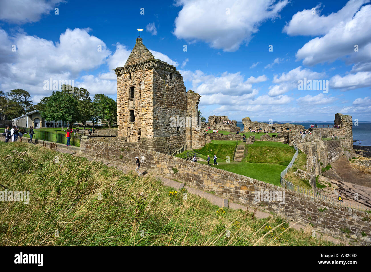 La rovina di Sant'Andrea e Castello di motivi, Sant'Andrea, Scotland, Regno Unito Foto Stock