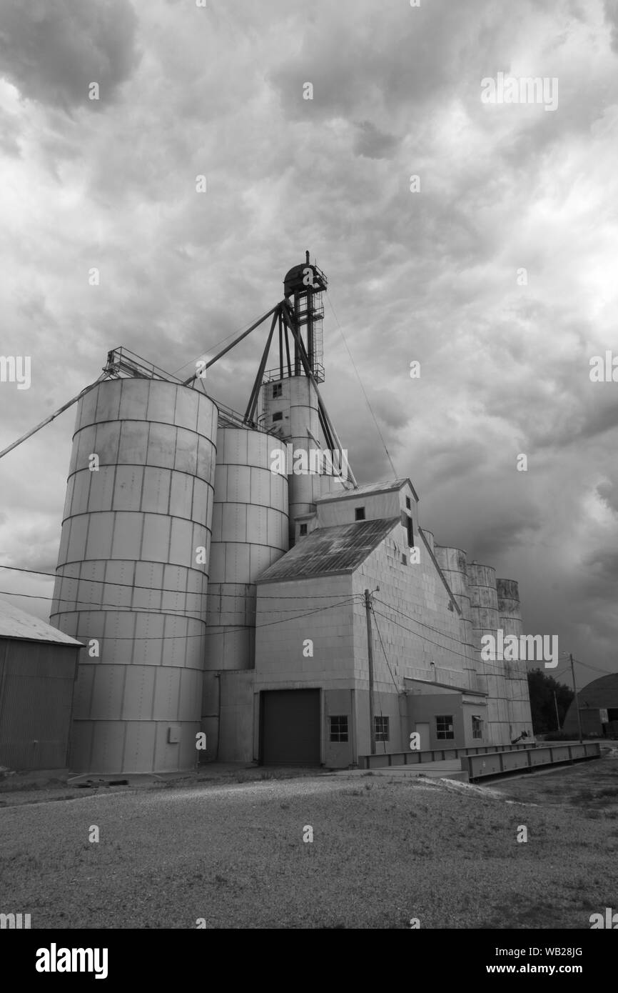 Silos di deposito di grano sotto cielo tempestoso. Foto Stock