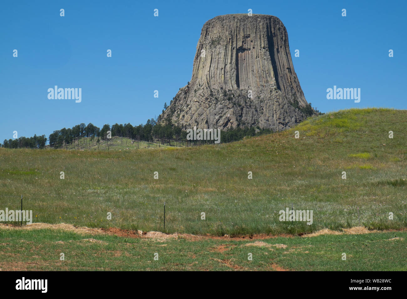 Devil's Tower Wyoming monumento nazionale USA Foto Stock