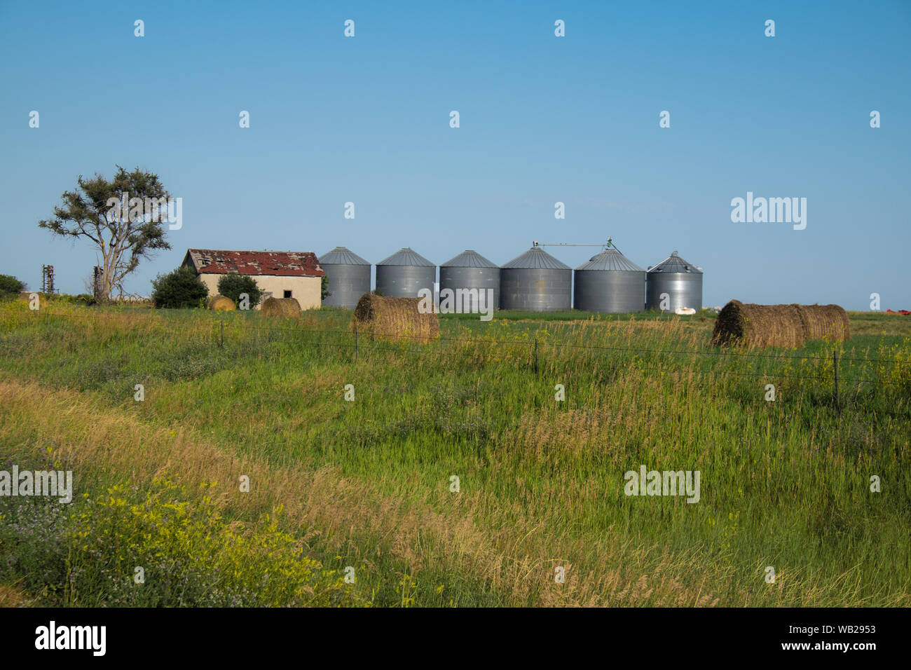 Fattoria Midwest USA Foto Stock