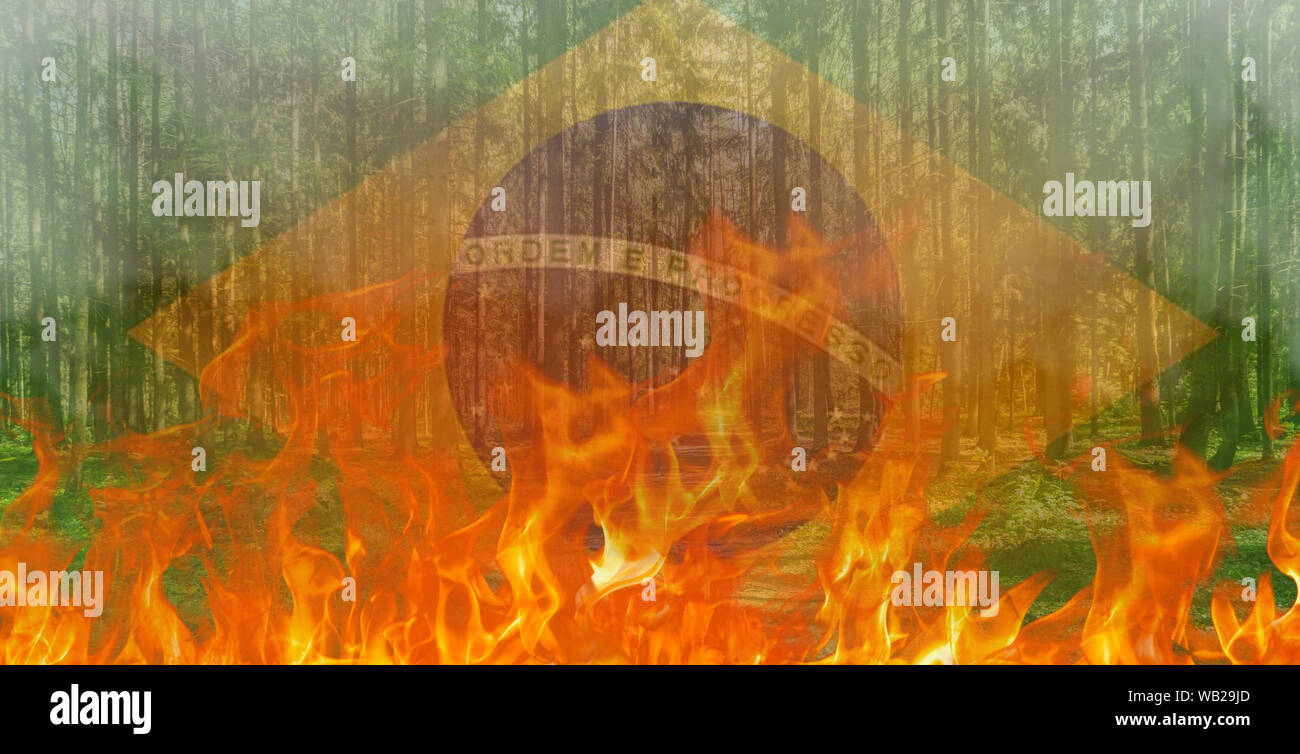 Incendio di foresta con Bandiera Brasile composito digitale - amazon  tragedia concept Foto stock - Alamy