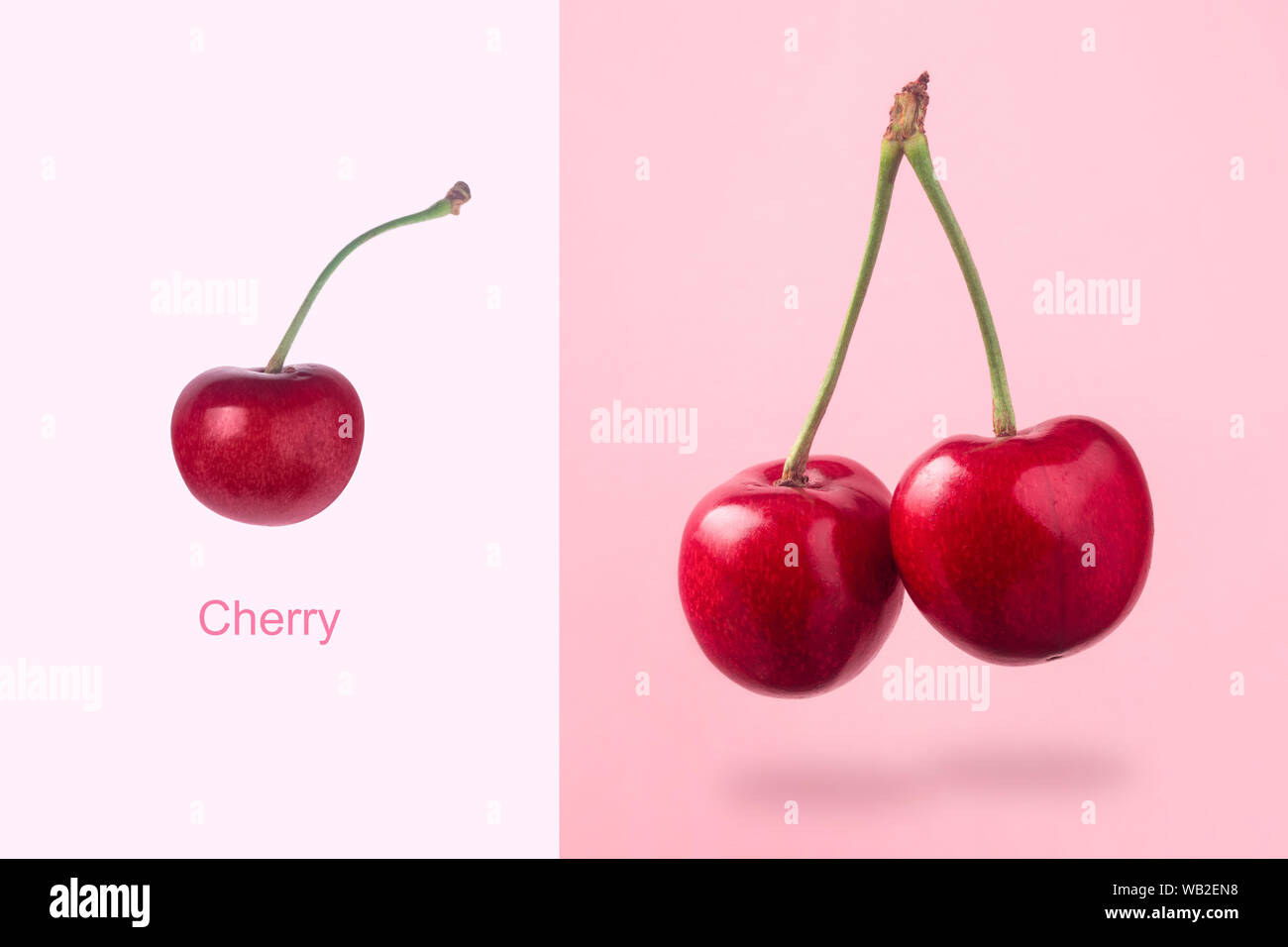 Layout creativo fatto di ciliegia di colore rosso su sfondo rosa, minimalismo creativo Foto Stock