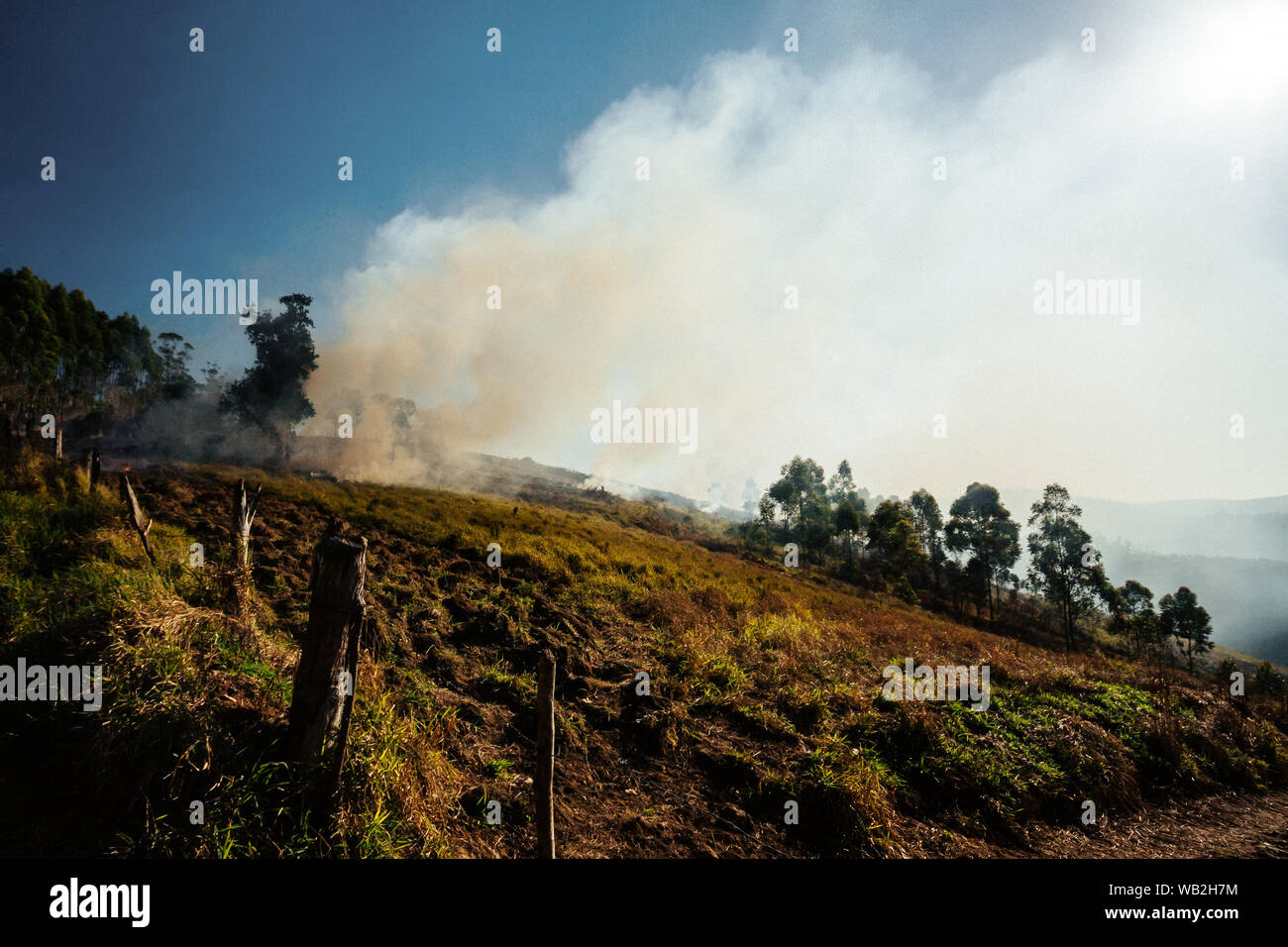 Il fuoco su un pascolo recintato radura il brasiliano della foresta pluviale atlantica Foto Stock