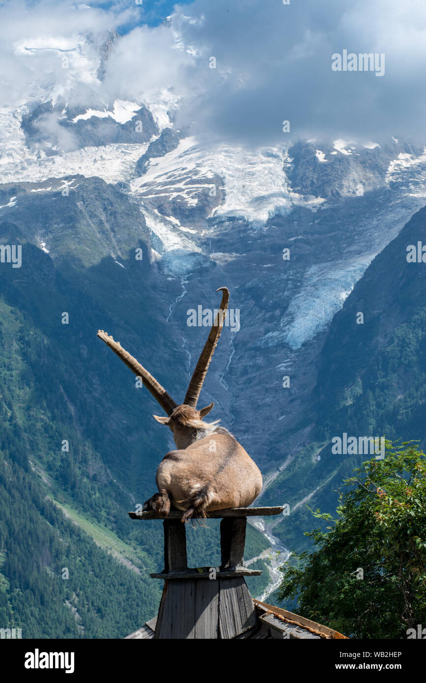 Maestro di tutti egli sondaggi Foto Stock