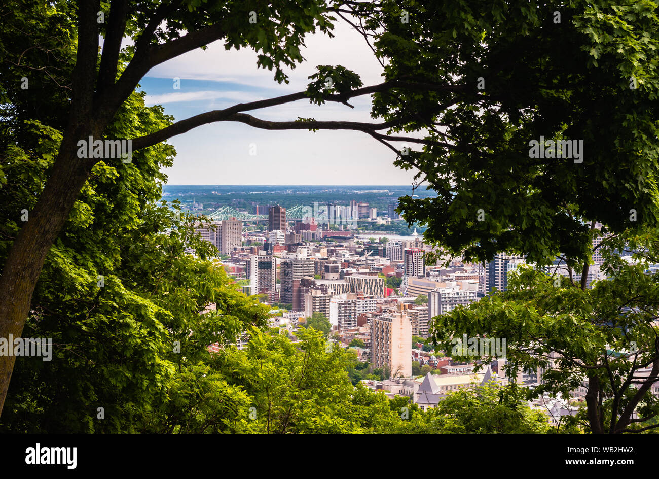 MONTREAL, Canada - 16 giugno 2018: parte del centro cittadino e Jacques Cartier Bridge può essere visto attraverso gli alberi guardando a nord-est da Mount Royal. Foto Stock