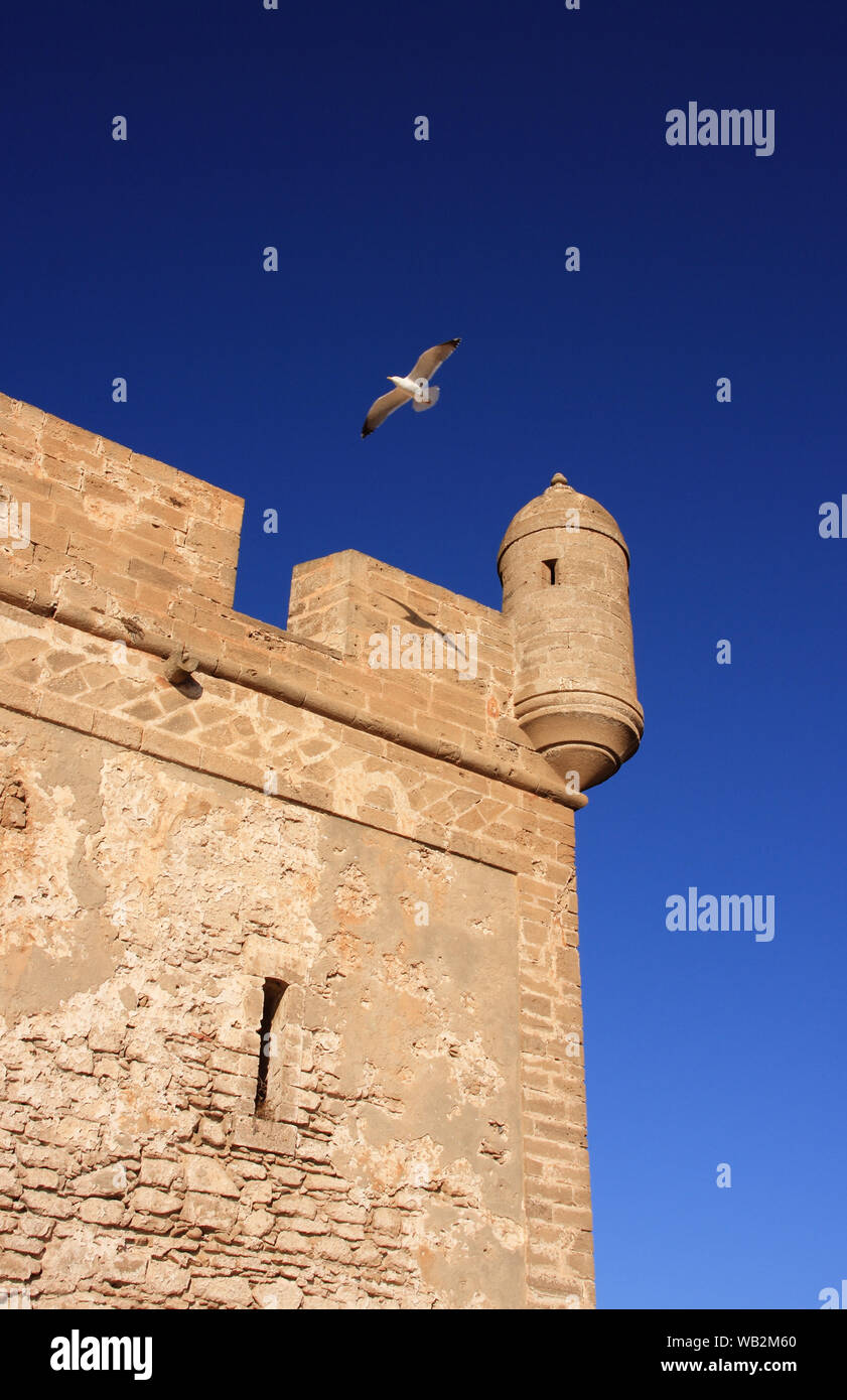 Marocco Essaouira. UNESCO World Heritage Site - porta la scala o il bastione che protegge il porto storico. Foto Stock