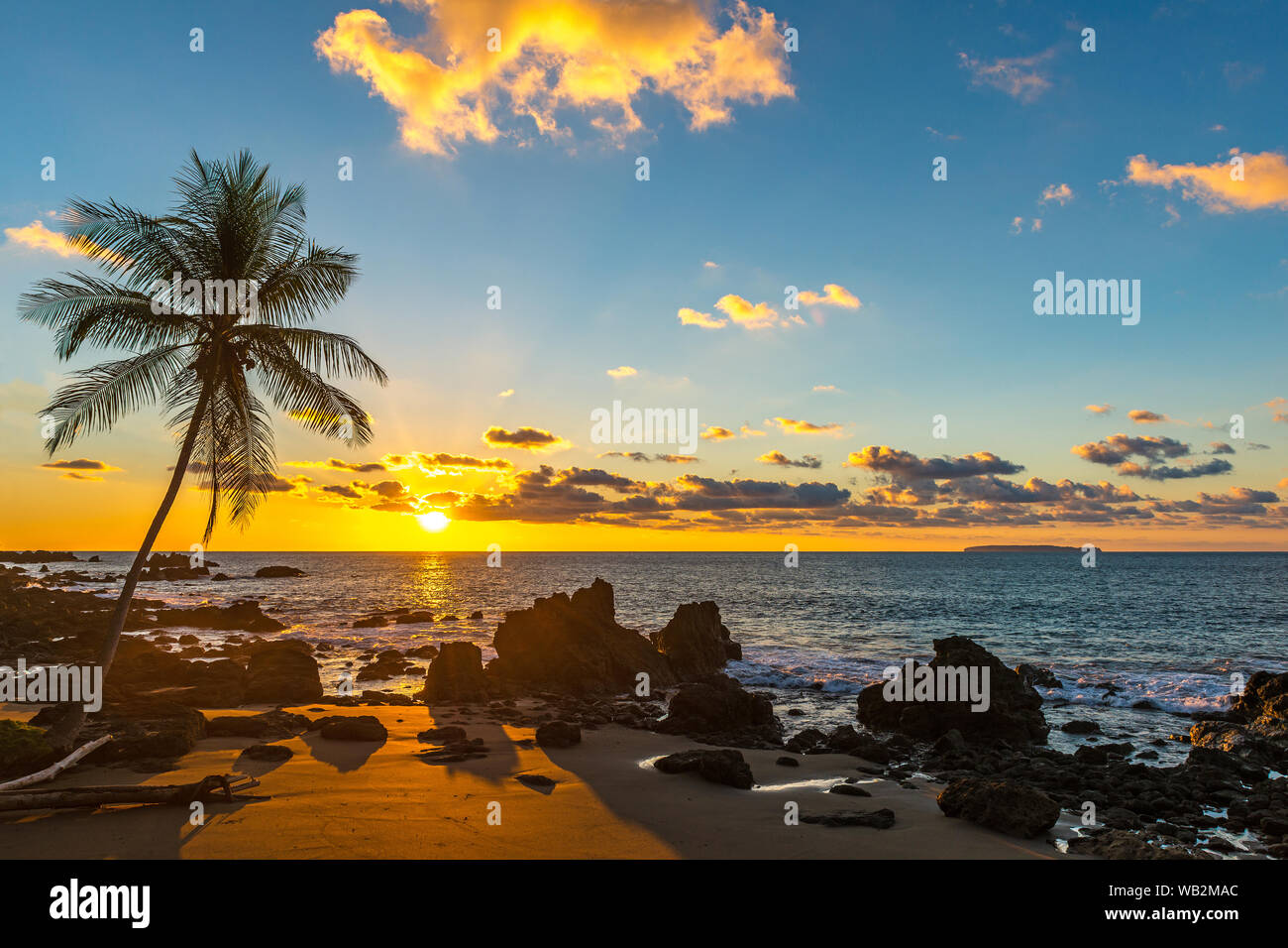 Tramonto lungo la costa dell'Oceano Pacifico del Costa Rica con la silhouette di una palma all'interno del parco nazionale di Corcovado, Osa Peninsula, America centrale. Foto Stock