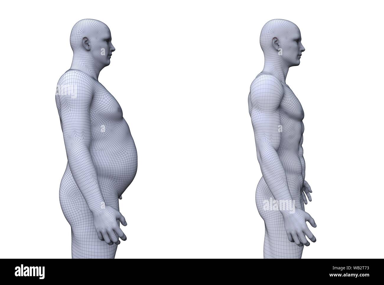 Confronto tra un accoppiamento e maschi obesi, illustrazione del computer. Foto Stock