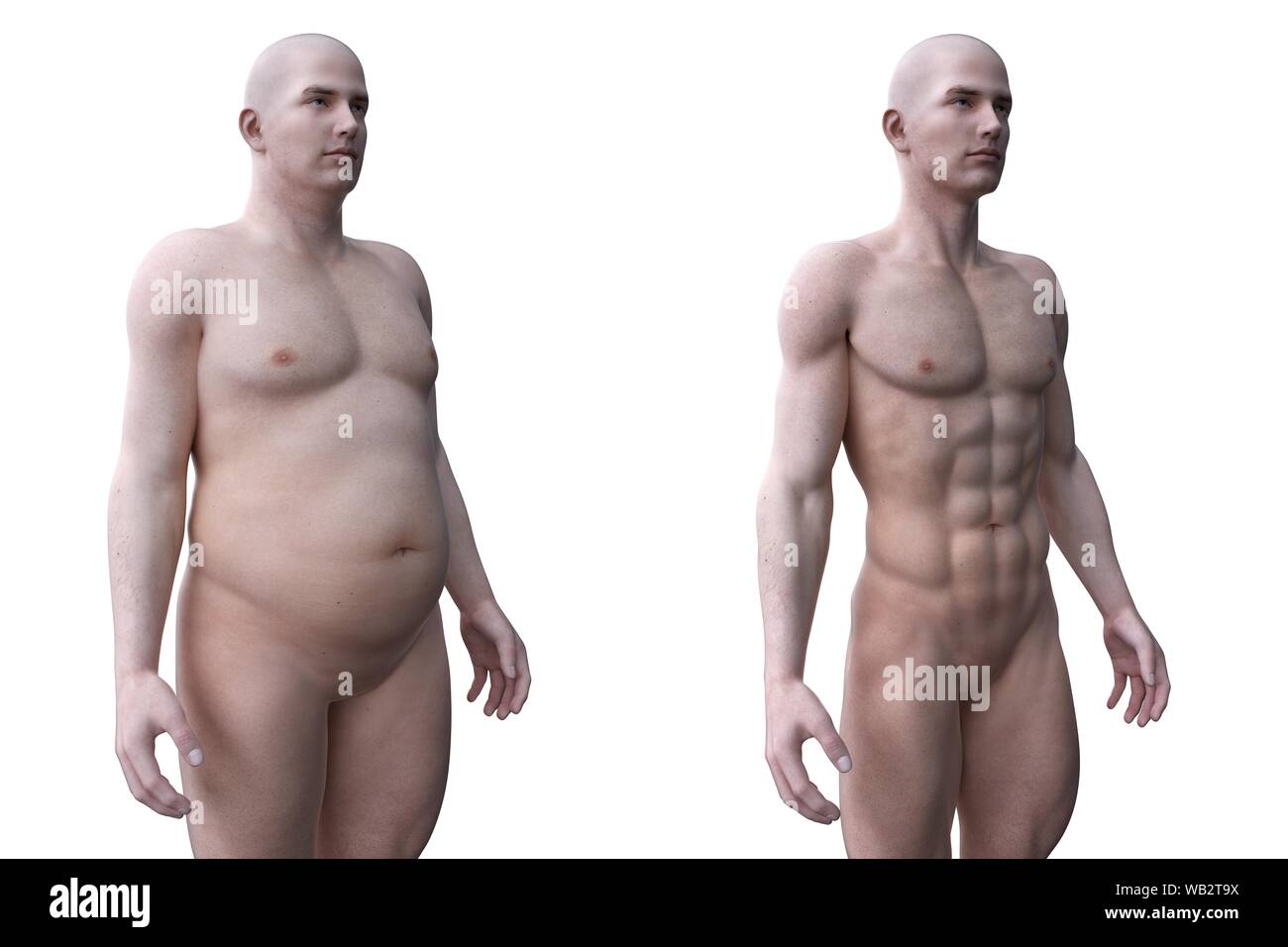 Confronto tra un accoppiamento e maschi obesi, illustrazione del computer. Foto Stock