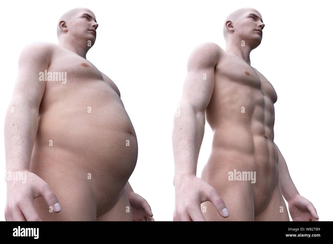 Confronto tra un accoppiamento e maschi obesi, illustrazione del computer. Foto Stock