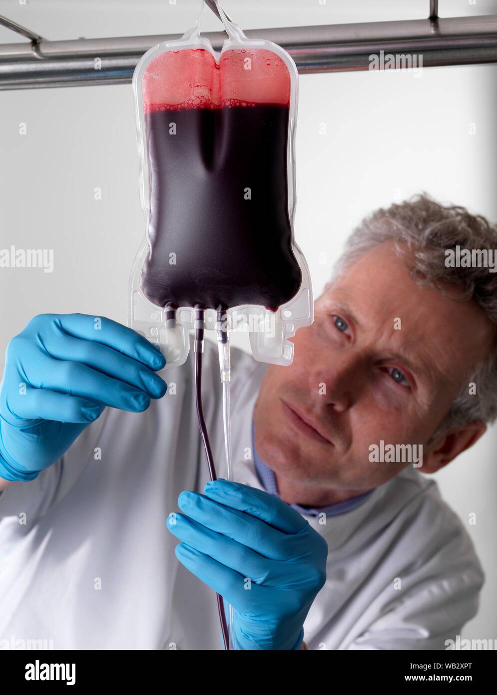 Il sangue del donatore di elaborazione. Il donatore il sangue viene separato nei suoi componenti. Foto Stock