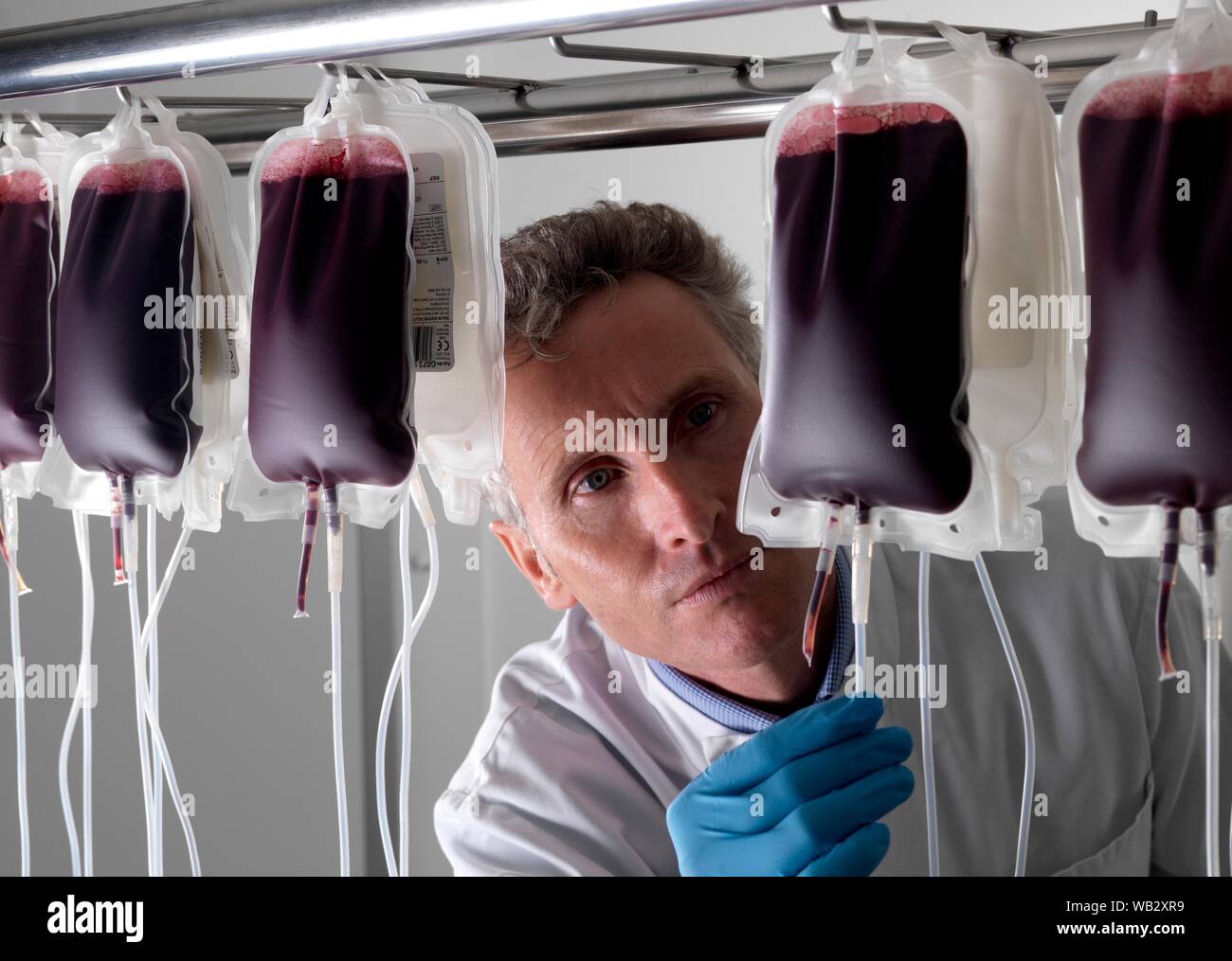 Il sangue del donatore di elaborazione. Il donatore il sangue viene separato nei suoi componenti. Foto Stock