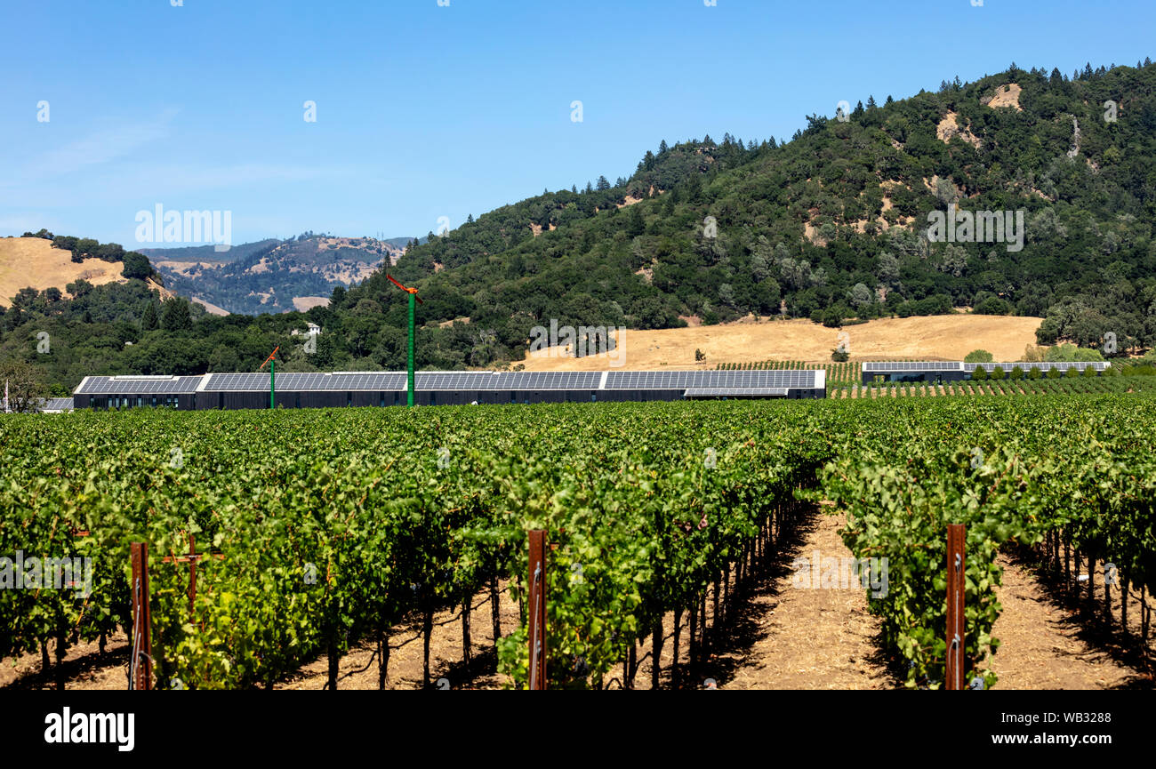 Healdsburg, CA - Agosto 13, 2019: una vista di ipermodernità e ecologicamente sensibili rovere argento Alexander Valley Winery. Aggiornato nel 2018 è c Foto Stock