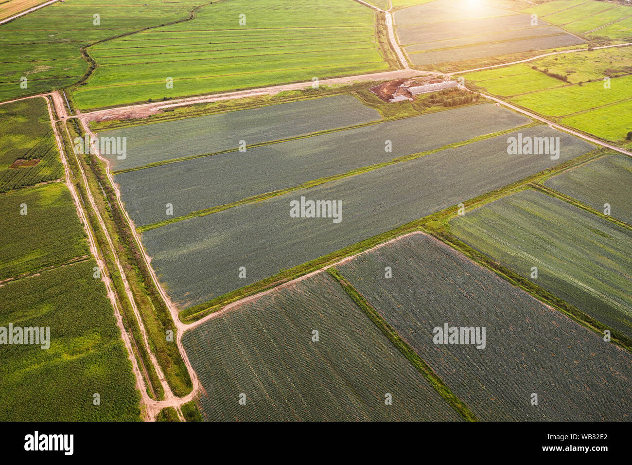 Farmland paesaggio dell'antenna. Piccola fattoria, campi agricoli e strade sterrate vista aerea Foto Stock