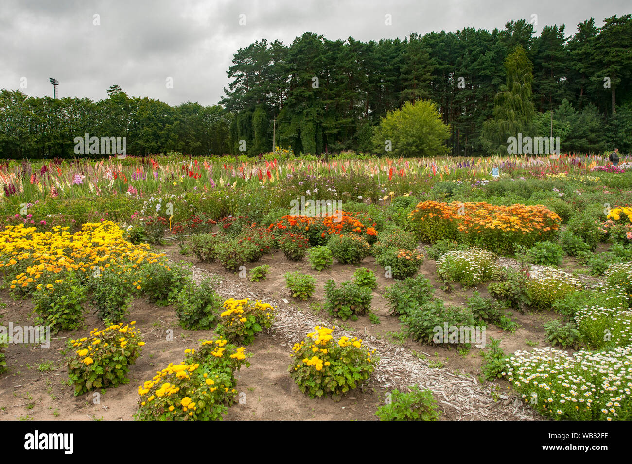 La Minsk Giardini Botanici a Minsk, in Bielorussia. Foto Stock